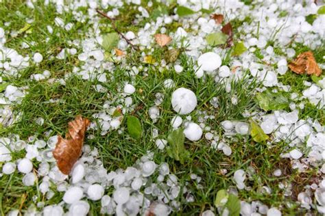 Scattered showers and storms forecasted for Friday